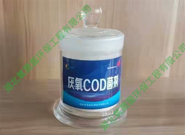 除磷脱氮填料 铺设反硝化层的铺设比例